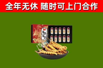 鼓楼烟酒回收冬虫夏草礼盒.jpg