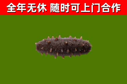 鼓楼烟酒回收干海参.jpg